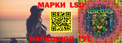 индика Тара