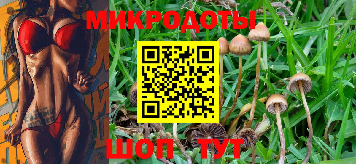Нурлат  Галлюциногенные грибы Psilocybe  Вход с VPN 